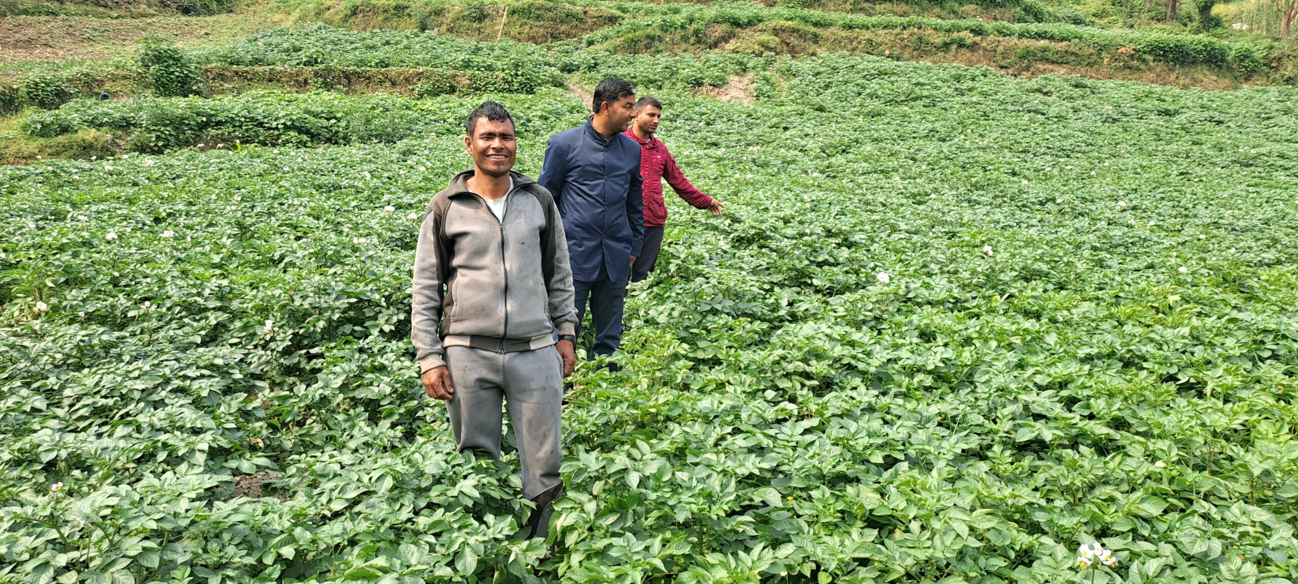 तल्लो खनाराको तरकारी बारीमा वडा अध्यक्ष ओली
